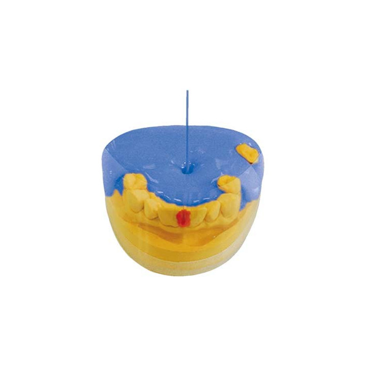 Silicona liquida para duplicar