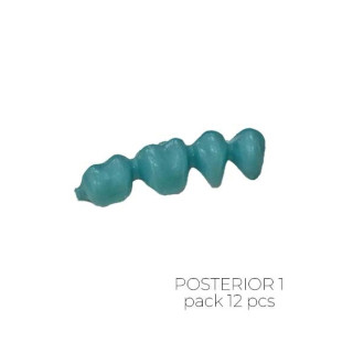 ponticos en cera