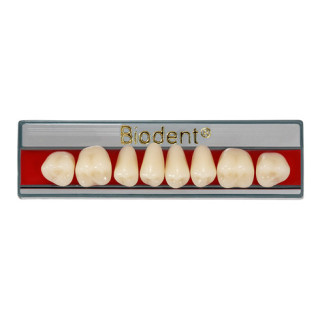 Dientes Biodent