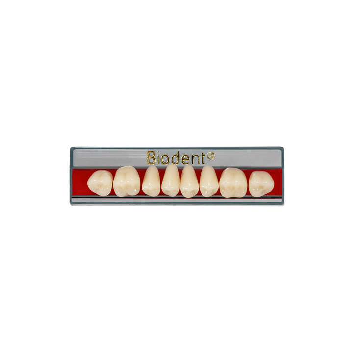 Dientes Biodent
