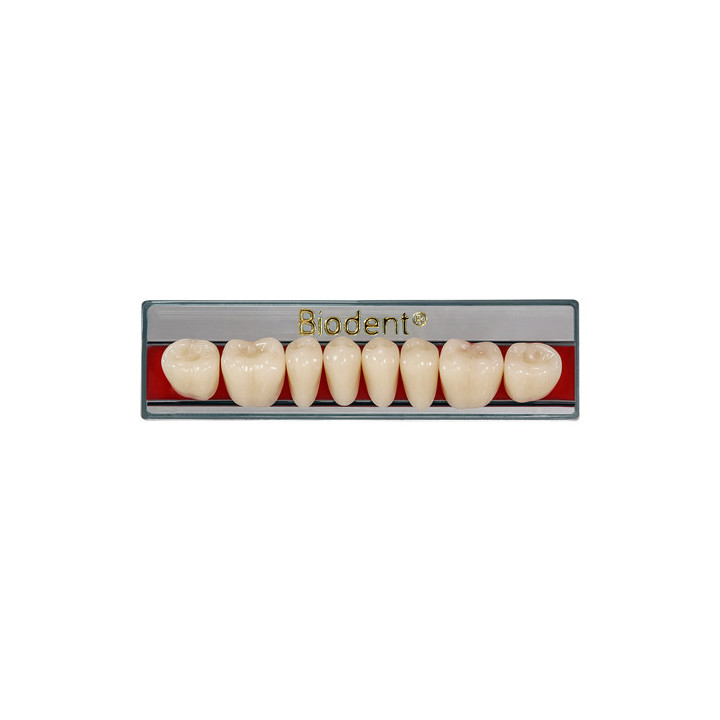 Dientes Biodent