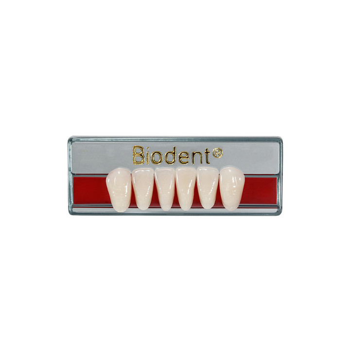 Dientes Biodent