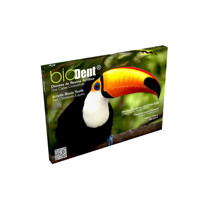 Dientes Biodent