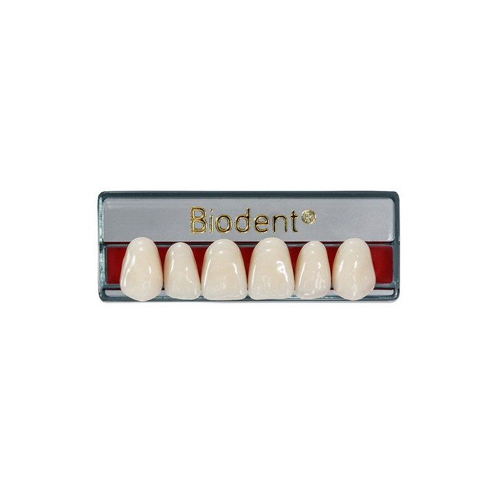 Dientes Biodent