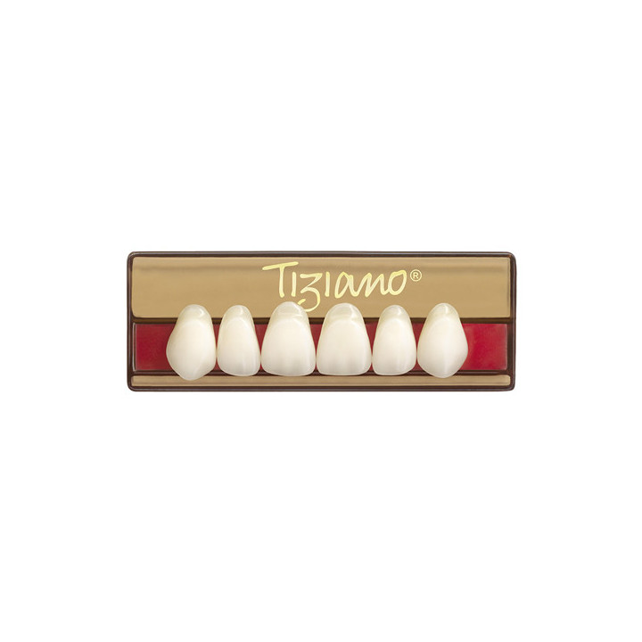 Dientes Tiziano