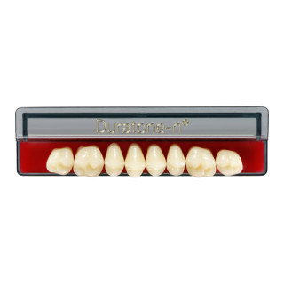 Dientes Duratone-n