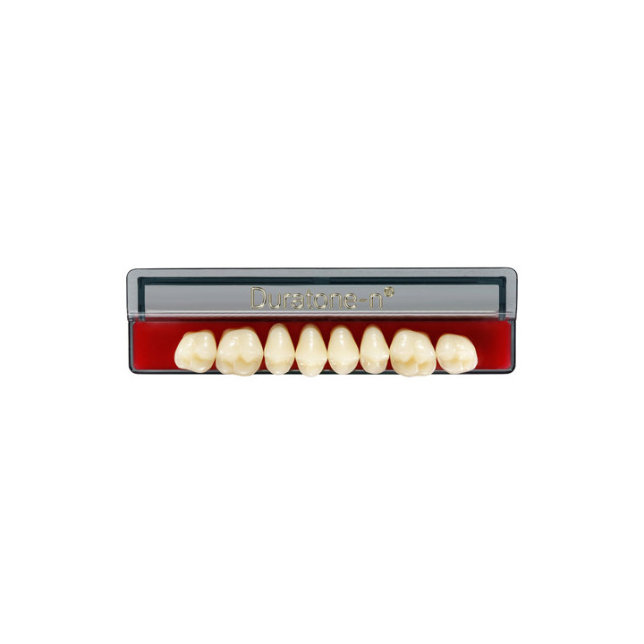 Dientes Duratone-n