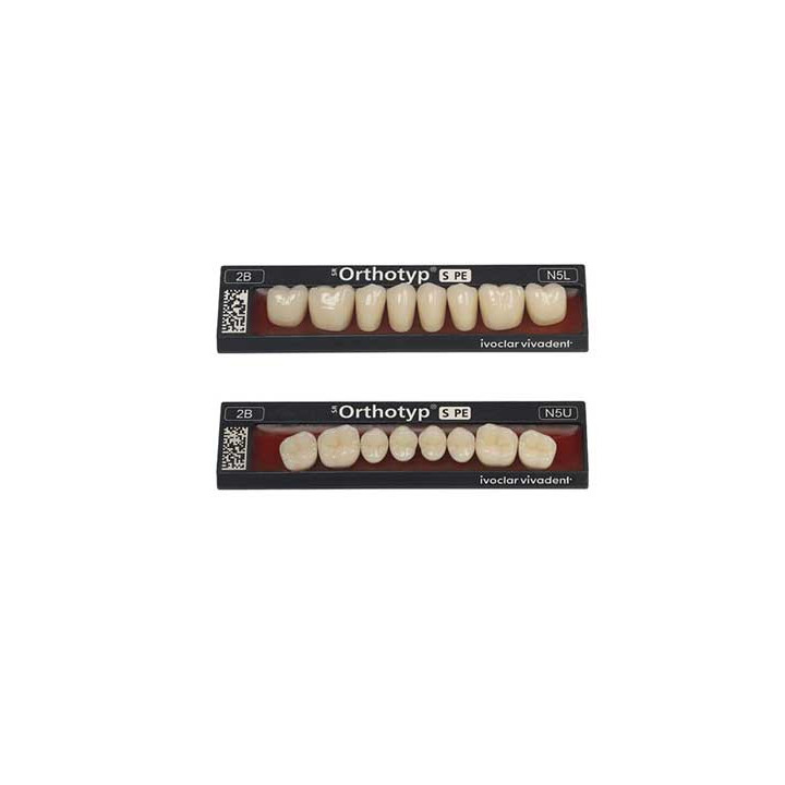 Dientes Ivoclar - Orthotyp