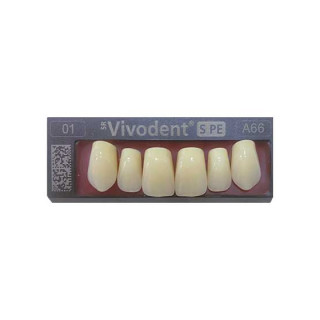 Dientes Ivoclar - Vivodent