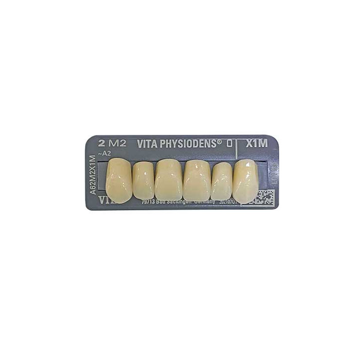 Dientes Vita
