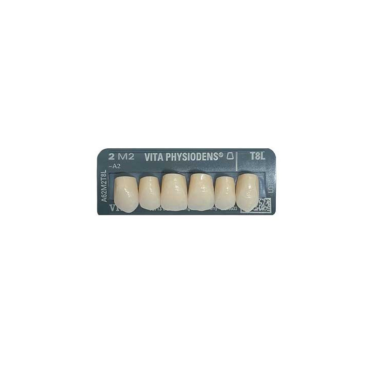 Dientes VITA