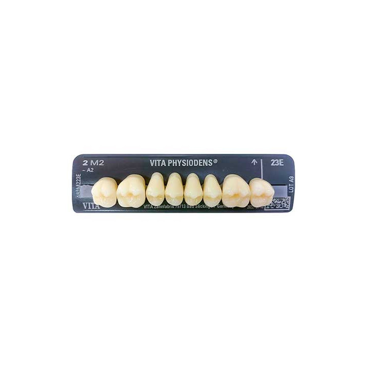 Dientes VITA