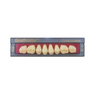 Dientes Gnathostar - Ivoclar