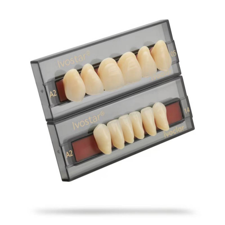 Dientes - Ivostar