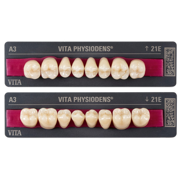 Dientes VITA